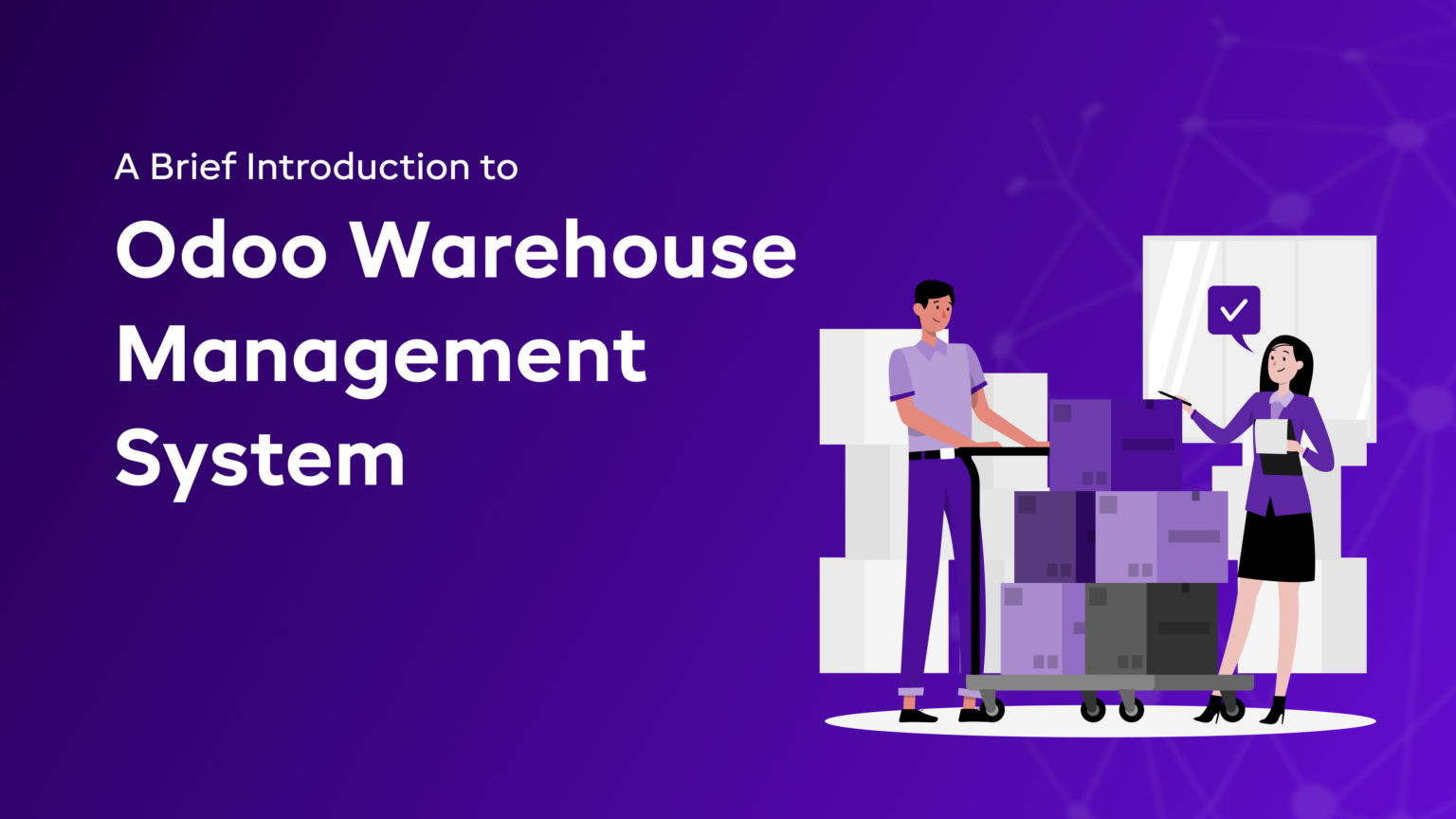 A Brief Introduction to Odoo Warehouse Management System