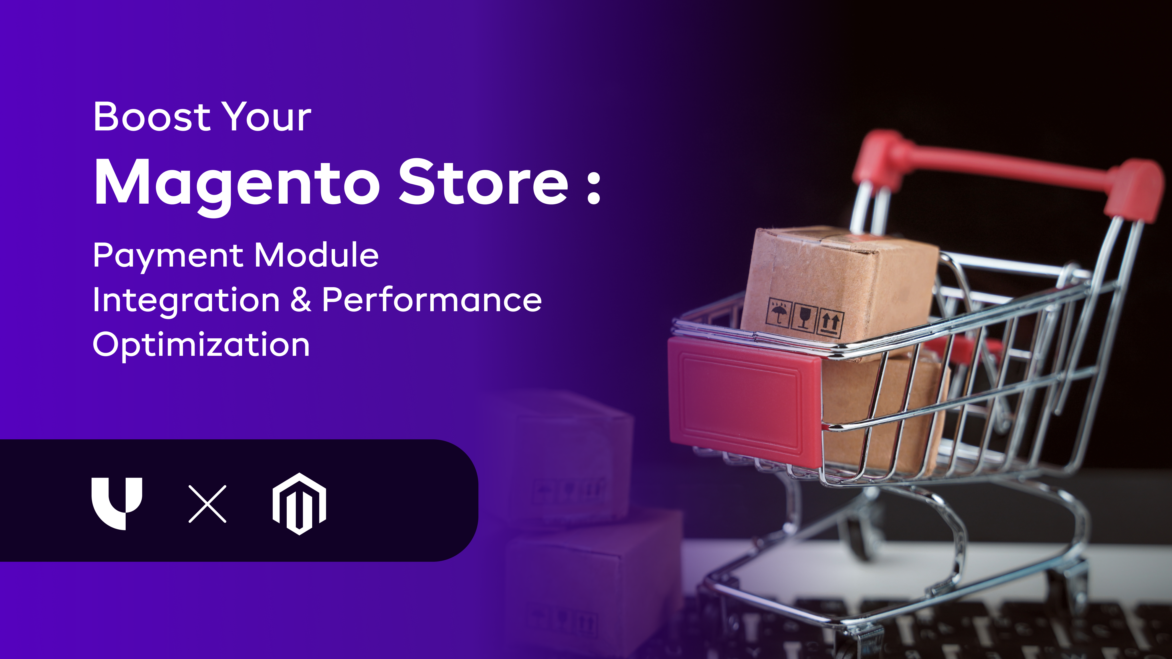 Boost Your Magento Store: Payment Module Integration & Performance Optimization