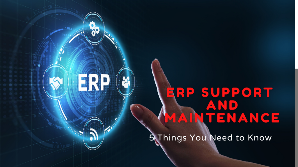 ERP Support and Maintenance
