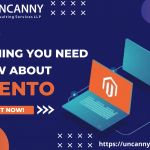 Everything You Need to Know About Magento Ecommerce  2022