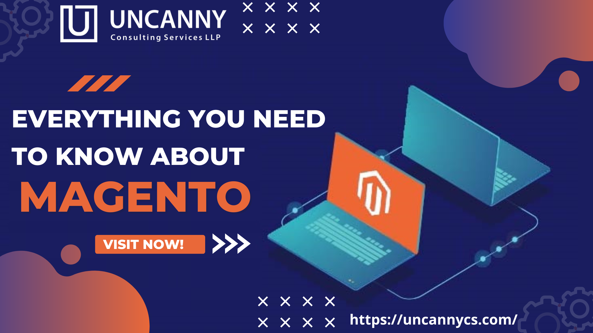Everything You Need to Know About Magento