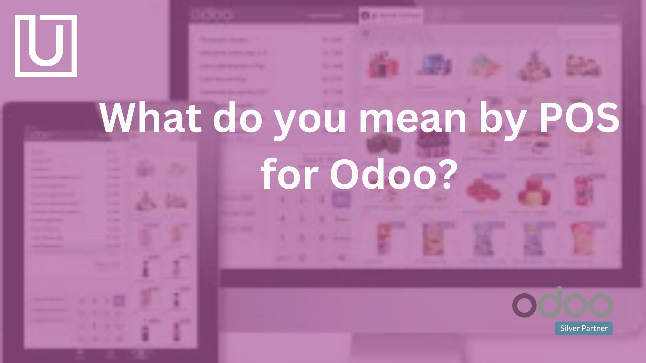 What do you mean by POS for Odoo?