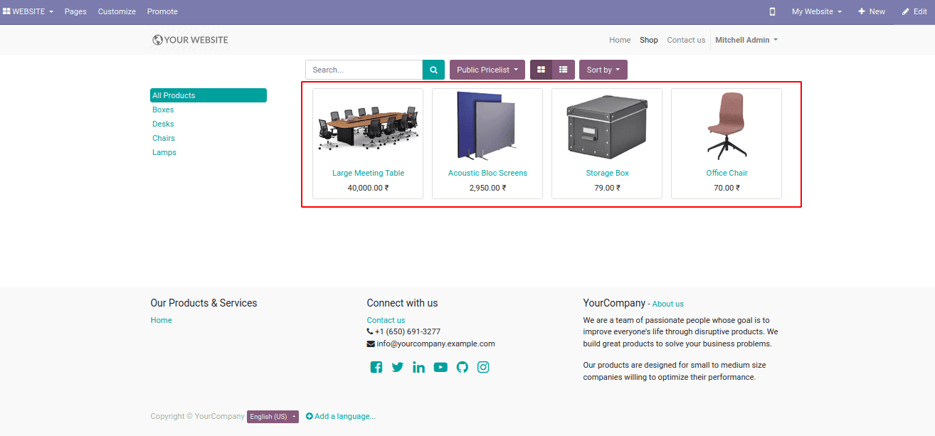 Odoo 16 Website Product Visibility 