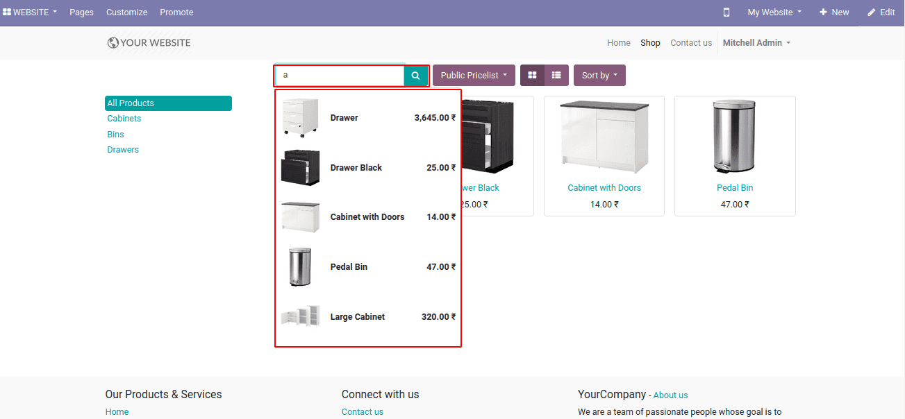 Odoo 16 Website Product Visibility